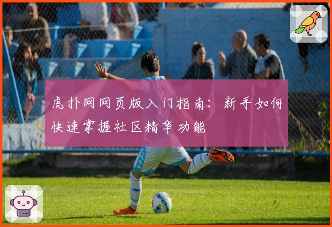 虎扑网网页版入门指南：新手如何快速掌握社区精华功能